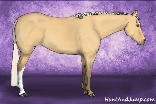 Horse Color: Silver Buckskin Dun 