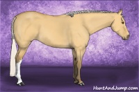 Horse Color:Silver Buckskin Dun 