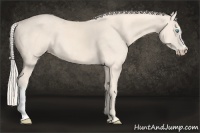 Horse Color:Cremello 