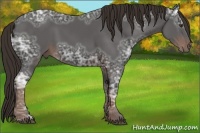 Horse Color:Liver Chestnut Ice 