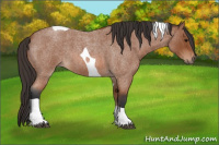 Horse Color:Bay Roan Tobiano 