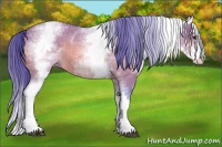 Horse Color:Watercolor White Spotted Bay Roan Splash