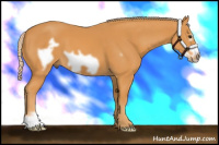 Horse Color:Chocolate Palomino Frame 