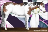 Horse Color:Bay Splash Frame 