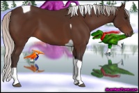 Horse Color:Silver Bay Tobiano 