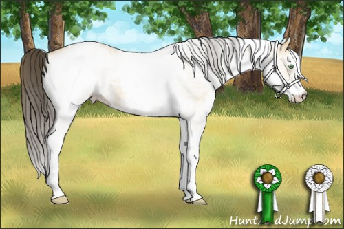 Horse Color: White Spotted Amber Cream Champagne Roan 