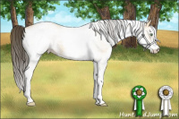 Horse Color:White Spotted Amber Cream Champagne Roan 