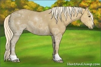 Horse Color:Palomino Ice 