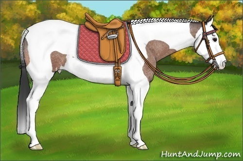 Horse Color: Bay Roan Splash Tobiano 