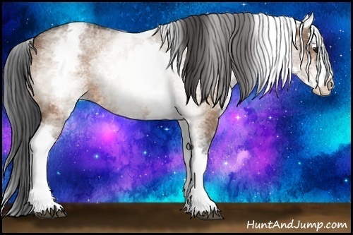 Horse Color: White Spotted Bay Dun Splash 