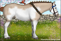 Horse Color:Liver Red Dun Splash Frame 