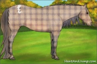 Horse Color:Plaid  Bay Blanket 