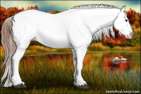Horse Color:Chestnut Ice Tobiano Appaloosa 