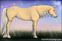 Horse Color:Palomino 