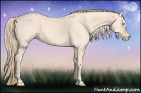 Horse Color:Perlino 