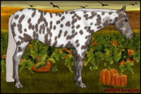 Horse Color:Silver Brown Near Leopard 