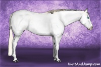 Horse Color:Perlino Sabino
