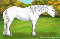 Horse Color:White Spotted Palomino Pearl Frame Appaloosa 