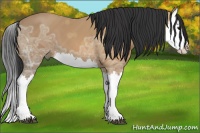 Horse Color:Bay Ice Splash 