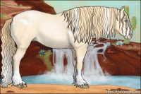 Horse Color:White Spotted Buckskin Pearl Splash 