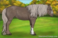 Horse Color:Silver Black 