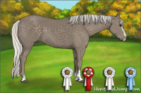 Horse Color:Silver Smoky Black Sabino 
