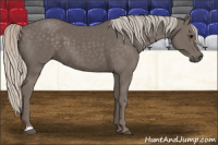 Horse Color:Silver Black 