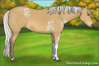 Horse Color:White Spotted Silver Buckskin