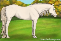 Horse Color:Perlino 