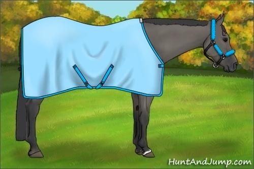 Horse Color: Grullo Rabicano 