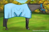 Horse Color:Grullo Rabicano 