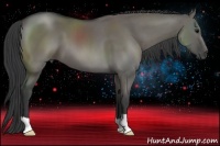 Horse Color:Grullo 