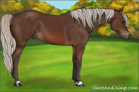 Horse Color:Silver Brown 