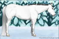 Horse Color:Gray White Spotted Bay Splash Tobiano 