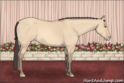 Horse Color: Amber Champagne Dun Rabicano 