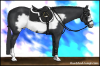 Horse Color:Black Frame 