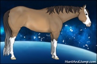 Horse Color:Buckskin Dun Splash 