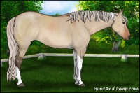 Horse Color:Silver Brown Dun Tobiano 