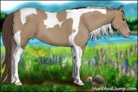 Horse Color:Classic Champagne Tobiano 