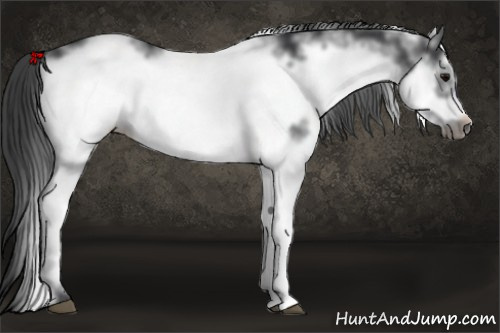 Horse Color: White Spotted Black Frame 