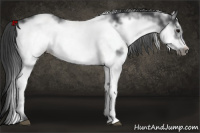 Horse Color:White Spotted Black Frame 