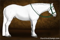 Horse Color:Gray Buckskin 