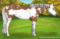 Horse Color:White Spotted Silver Buckskin Splash Frame 