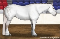 Horse Color:Gray Red Roan Tobiano Blanket 