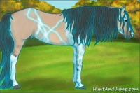 Horse Color:Thunderstruck Bay Dun 