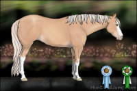 Horse Color:White Spotted Silver Amber Champagne