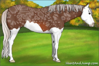 Horse Color:Silver Bay Ice Splash 