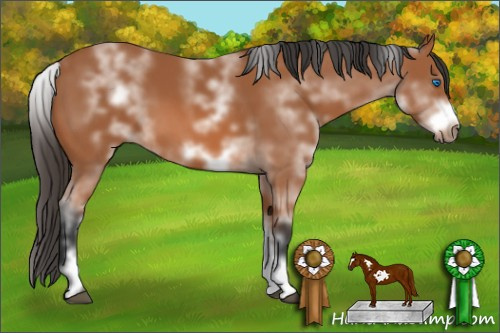 Horse Color: White Spotted Bay Frame 
