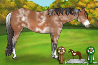Horse Color:White Spotted Bay Frame 