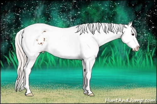 Horse Color: Silver Bay Tobiano Snowflake Varnish 